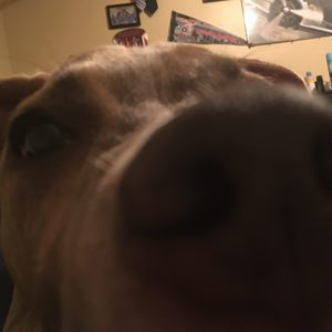 Meet your Posher, Aidan